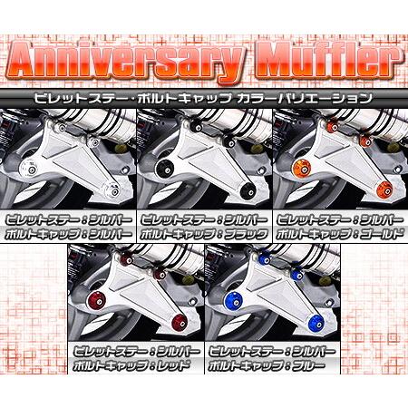 WirusWin ウイルズウィン アニバーサリーマフラー バズーカータイプ ビレットステーカラー：シルバー / ボトルキャップカラー：ブルー シグナスX YAMAHA ヤマハ_2