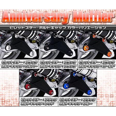 WirusWin ウイルズウィン アニバーサリーマフラー バズーカータイプ ビレットステーカラー：シルバー / ボトルキャップカラー：ブルー シグナスX YAMAHA ヤマハ_3
