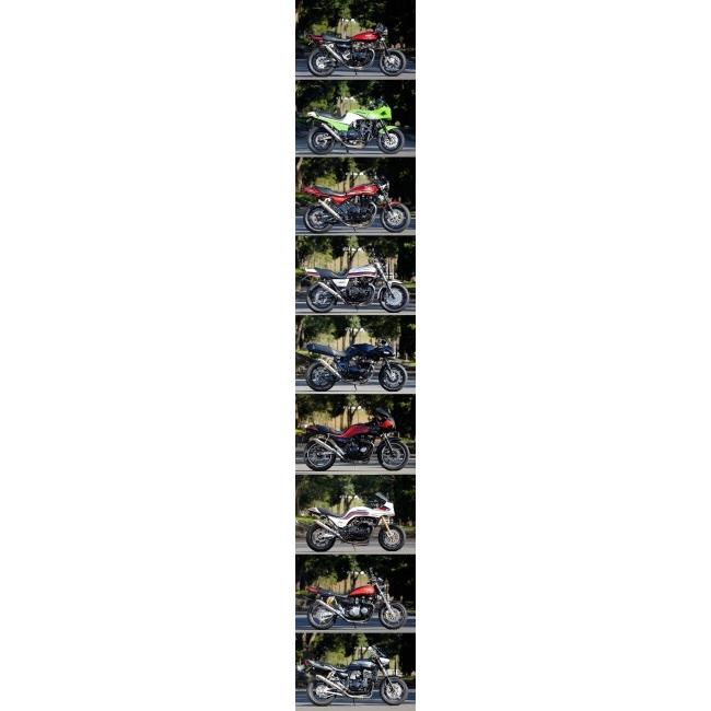 NITRO RACING（ナイトロレーシング） ストレイトチタンサイレンサー V