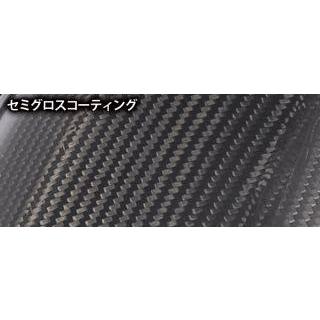 NEXRAY CARBON DRY ネクスレイカーボンドライ リアフェンダー TYPE-3