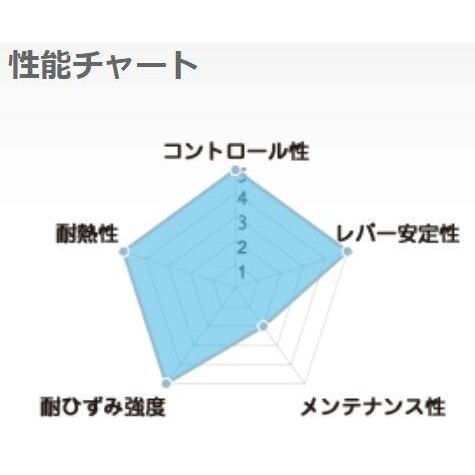 SUNSTAR（サンスター） ワークスエキスパンド リアディスクローター