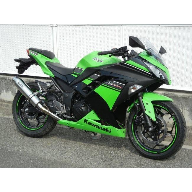 WR’S ダブルアールズ リアエキゾースト スリップオンマフラー サイレンサー：ステンレス Ninja250 Z250 KAWASAKI カワサキ マフラーの画像