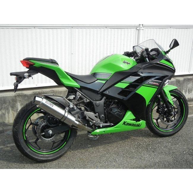 WR’S ダブルアールズ リアエキゾースト スリップオンマフラー サイレンサー：ステンレス Ninja250 Z250 KAWASAKI カワサキ マフラーの画像