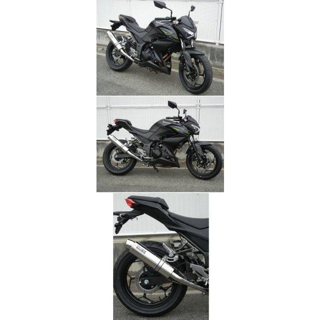 WR’S ダブルアールズ リアエキゾースト スリップオンマフラー サイレンサー：ステンレス Ninja250 Z250 KAWASAKI カワサキ マフラーの画像