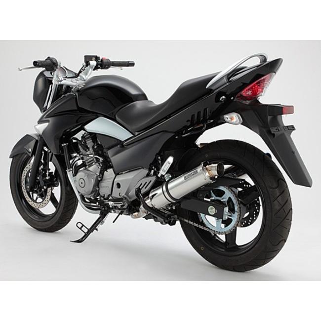 himawari8　BEAMS R-EVO・W スリップオン　GSR250 BEAMS ビームス R-EVO スリップオンマフラー(2本出し) サイレンサー