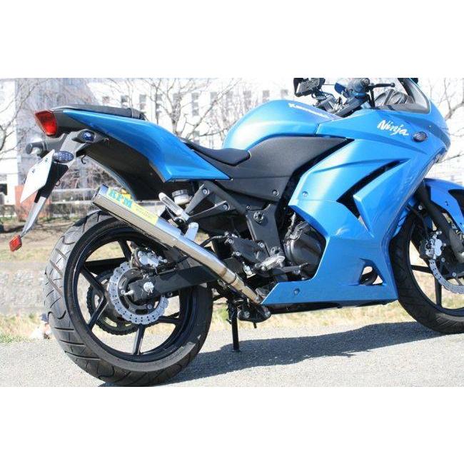 RPM アールピーエム スリップオンマフラー ニンジャ250R KAWASAKI