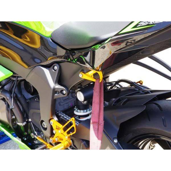 babyface（ベビーフェイス） レーシングフック ゴールド ZX-6R