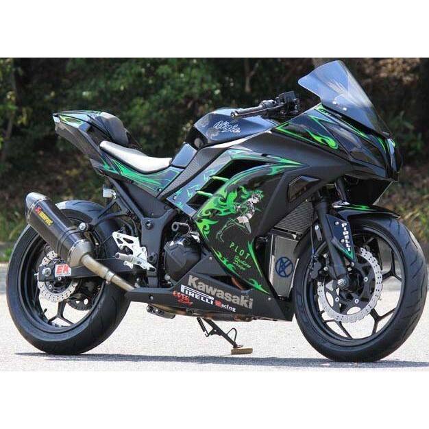 NINJA250 デカールキット(pa) Webike | K's-STYLE ケイズスタイル デカールキット Ninja250SL (15