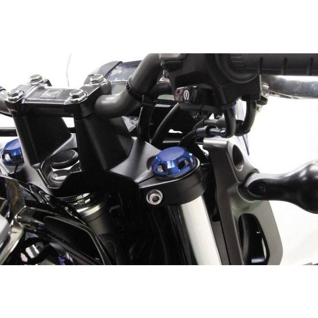 スペシャルパーツ武川 SP武川 SPタケガワ フォークボルトキャップ