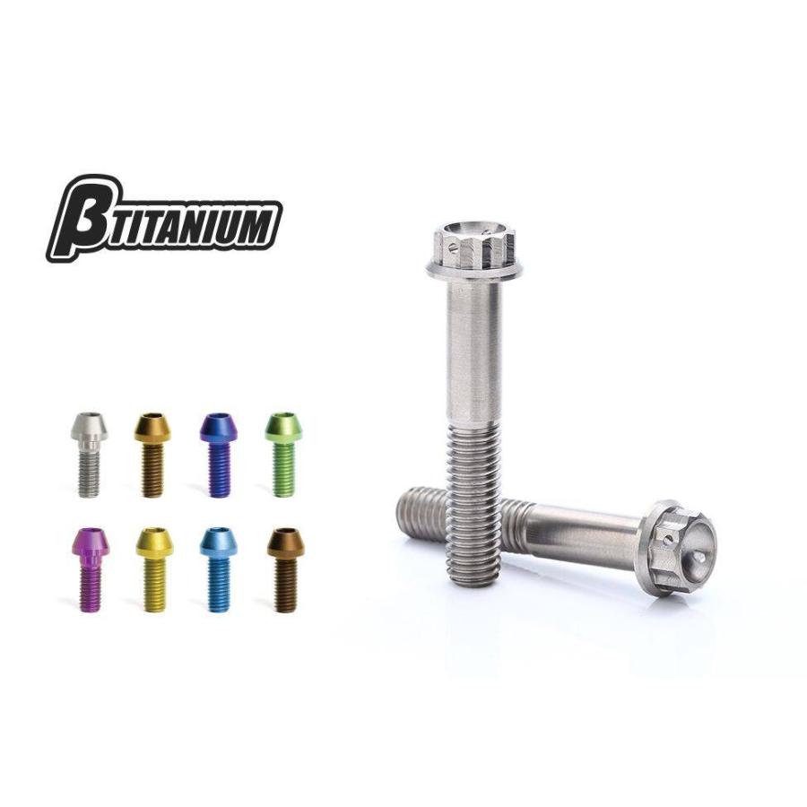 βTITANIUM ベータチタニウム 12Pフランジチタンボルト M10 ローズ