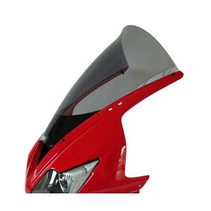 SECDEM SECDEM:セクデム ハイプロテクション・スクリーン カラー：ライトスモーク DAYTONA675 [デイトナ]