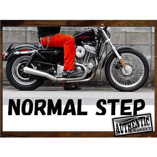 GUTS CHROME（ガッツ クローム） 車坂下moto-cycle製 フリスコキット