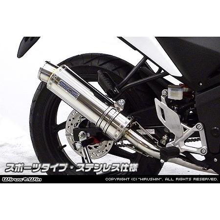 WirusWin（ウイルズウィン） ダイナミックマフラー スポーツタイプ