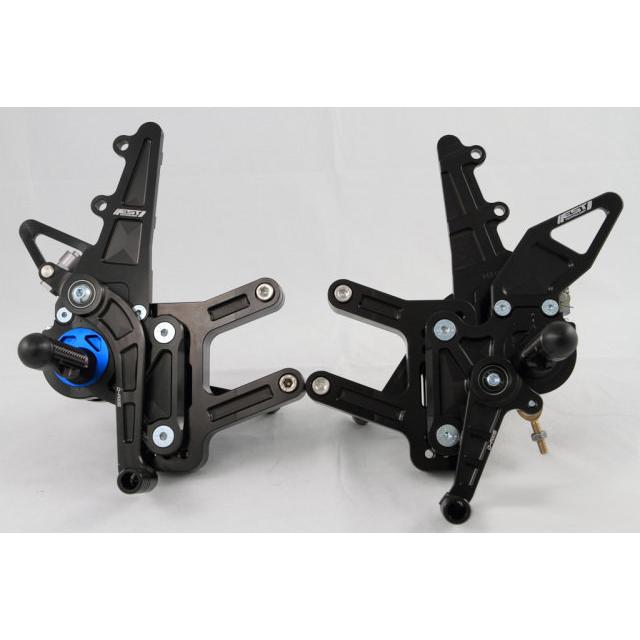 DRIVEN ドリブン D-Axis バックステップ エキセントリックカラー：レッド / ステップタイプ：GPスタイル ZX-10R KAWASAKI カワサキ ステップ 足回り | ブランド登録なし