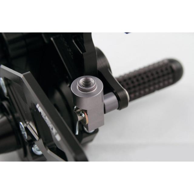 DRIVEN ドリブン D-Axis バックステップ エキセントリックカラー：レッド / ステップタイプ：GPスタイル ZX-10R KAWASAKI カワサキ ステップ 足回り | ブランド登録なし | 01