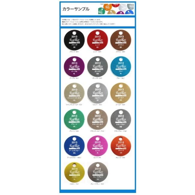 KOHKEN コーケン OHLINS正立フォーク用キャリパーサポート 【カラーアルマイト】 カラー：チタンゴールド ZRX1200  YAMAHA ヤマハ ブレーキ | KOHKEN | 02