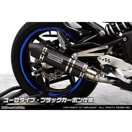WirusWin（ウイルズウィン） ダイナミックマフラー ユーロタイプ ER-4n