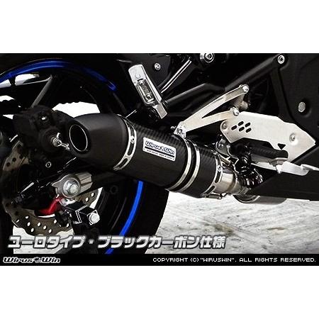 WirusWin（ウイルズウィン） ダイナミックマフラー ユーロタイプ ER-4n