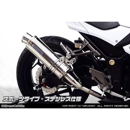WirusWin（ウイルズウィン） スリップオンマフラー スポーツタイプ