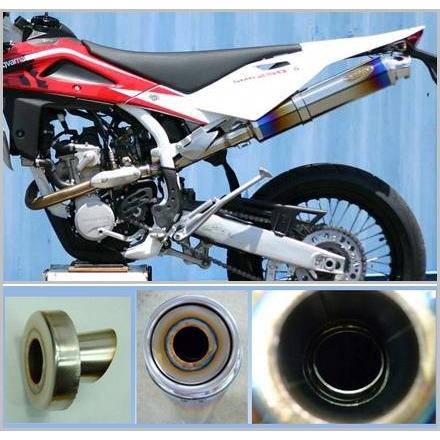 【売り切りお値下げ】 OUTEX OUTEX:アウテックス OUTEX.R-SS-CATALYZE (S/O) スリップオンマフラー SM250R 【8657391844】(31515円)