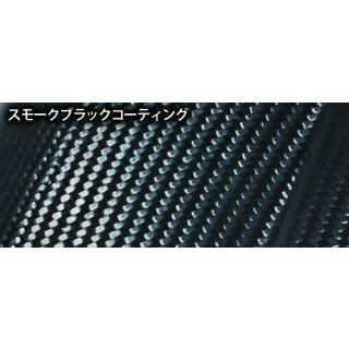 NEXRAY CARBON DRY ネクスレイカーボンドライ リアフェンダー (190/55