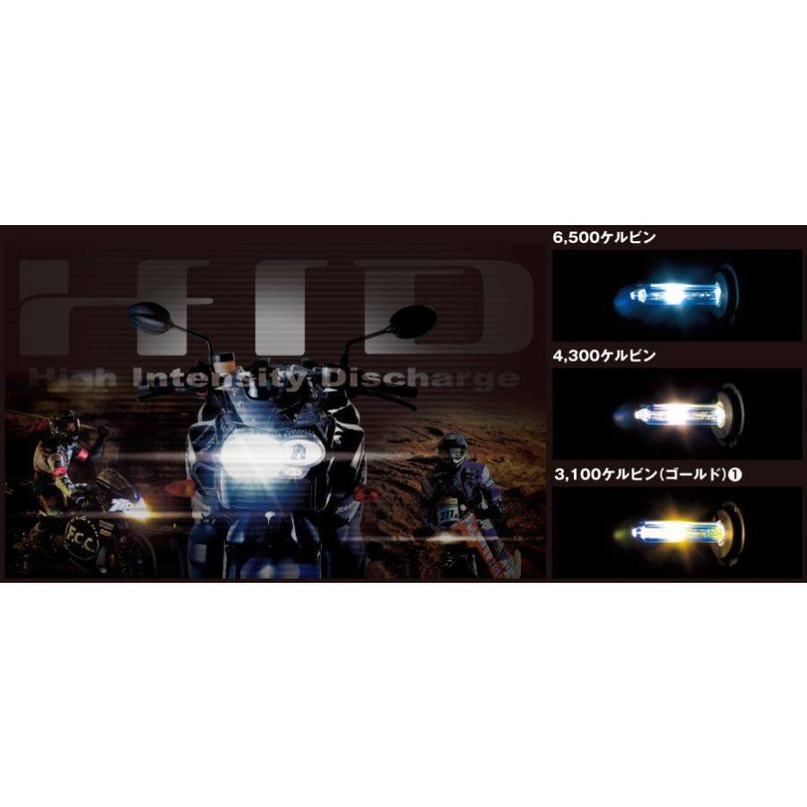 配送員設置送料無料 Absolute アブソリュート Absolute Hidヘッドライトボルトオンキット Lo H7 6500k Vfr800 Honda ホンダ 独創的 Zoetalentsolutions Com