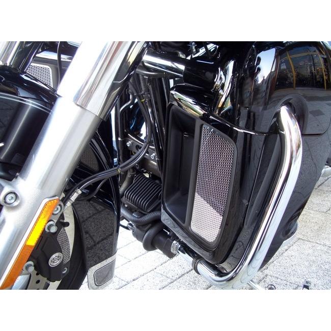 TERADA MOTORS テラダモータース ツインクールドモデル用 ラジエターコアガード TOURING [ツーリング] ファミリー HARLEY-DAVIDSON ハーレーダビッドソン | ブランド登録なし | 02