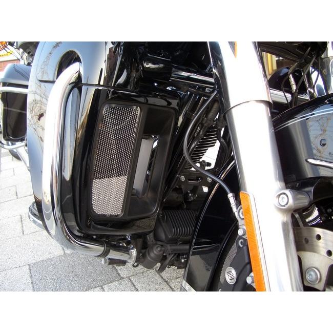 TERADA MOTORS テラダモータース ツインクールドモデル用 ラジエターコアガード TOURING [ツーリング] ファミリー HARLEY-DAVIDSON ハーレーダビッドソン | ブランド登録なし | 05