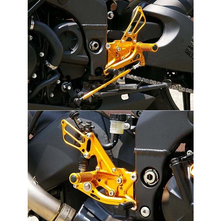 BABYFACE ベビーフェイス [IDEAL]バックステップ カラー：シルバー ZX-10R KAWASAKI カワサキ バックステップ ステップ 足回り | babyface