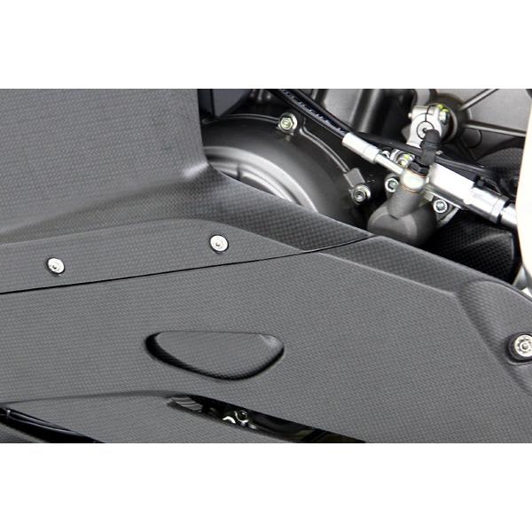 MOTO CORSE モトコルセ カーボン オルタネータープロテクションカバー マットフィニッシュ Panigale [パニガーレ] 899Panigale DUCATI ドゥカティ エンジンの画像