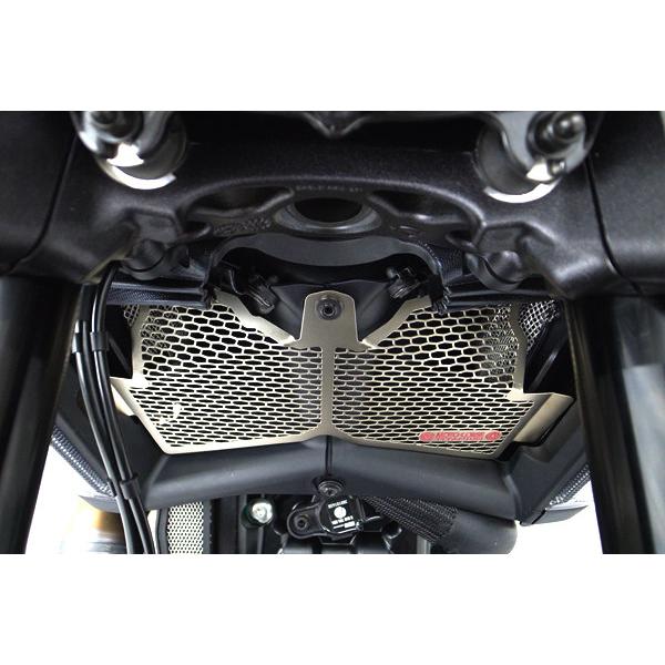 MOTO CORSE（モトコルセ） ラジエターコアガード プロテクション