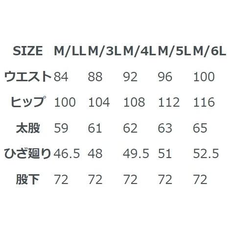 バイク Rookie レザー カップインパンツ Mサイズ