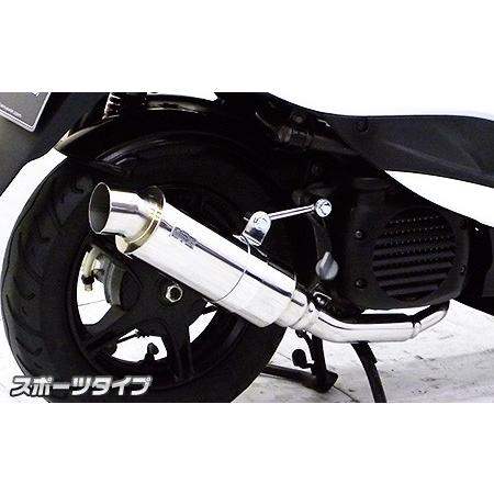 Webike | WirusWin ウイルズウィン ロイヤルマフラー Z125 プロ