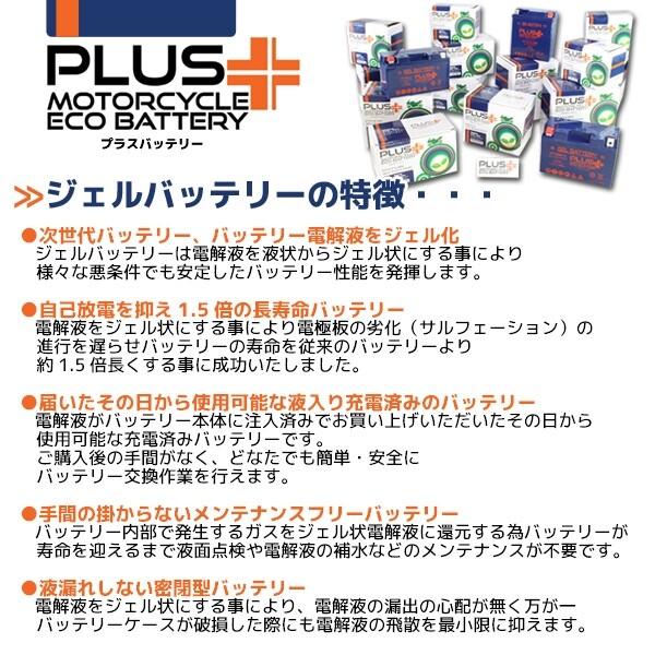 RISE CORPORATION ライズコーポレーション PLUS (プラス) バッテリー ジェルタイプ 鉛系バッテリー バッテリー関連 | ライズコーポレーション | 02