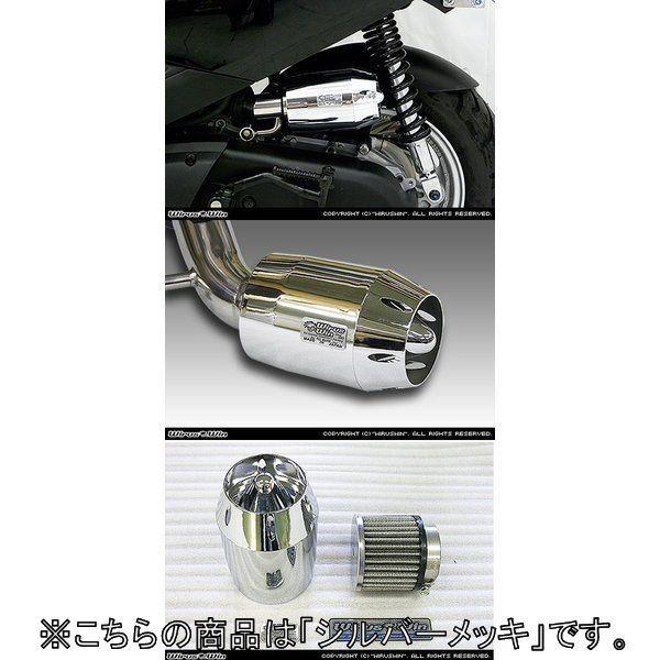 WirusWin ウイルズウィン ブリーズタイプ エアクリーナーキット カラー：シルバーメッキ アクシストリート YAMAHA ヤマハ 吸気関連 エンジン