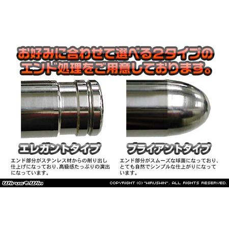 マグザム用　タンデムバー　ステンレス WirusWin（ウイルズウィン） サポートタンデムバー ブライアントタイプ