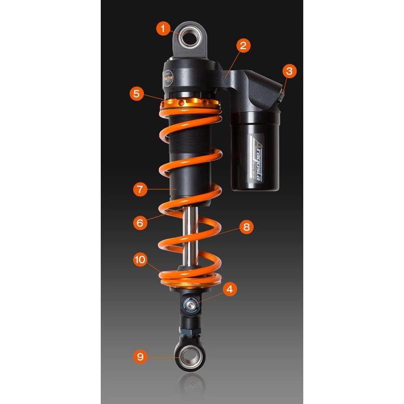 リング Aragosta Kawasaki Z1 ウェビック1号店 通販 Paypayモール アラゴスタ ツインショック Phase1 車