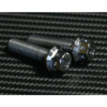 TITANIUM64 チタニウムロクジュウヨン キャリパーマウントボルトレーシングスペック NC750S NC750X インテグラ NC700X NC700S HONDA ホンダ ブレーキ | ブランド登録なし