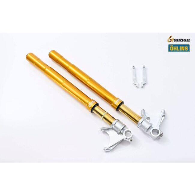 OHLINS オーリンズ 倒立フロントフォーク FG R&T 200 アウターチューブカラー：ゴールド R nineT BMW フロントフォーク サスペンション 足回り