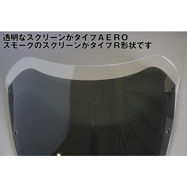 World Walk ワールドウォーク 汎用ビキニカウル DS-01 【Rタイプ】 カラー：ダークパープリッシュブルーメタリックL / スクリーンカラー：クリア ビキニカウル_4