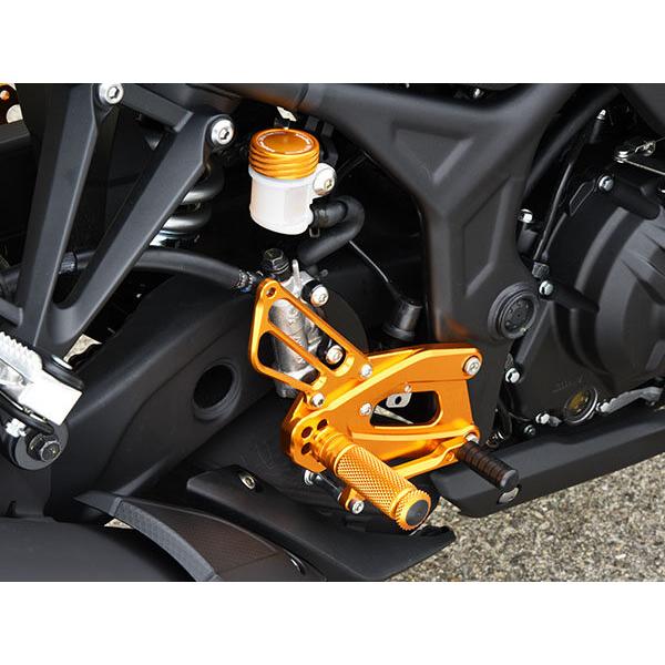 BABYFACE ベビーフェイス バックステップキット カラー：ゴールド MT-25 MT-3 YZF-R25 YZF-R3 YAMAHA ヤマハ バックステップ ステップ 足回り | babyface | 01