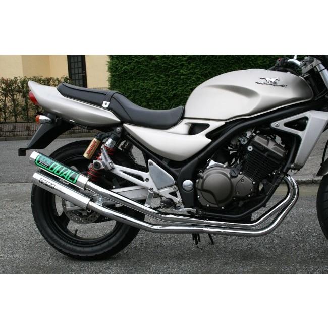 RPM アールピーエム RPM-DUALフルエキゾーストマフラー サイレンサーカバー：ステンレス バリオス KAWASAKI カワサキ フルエキゾーストマフラー マフラーの画像