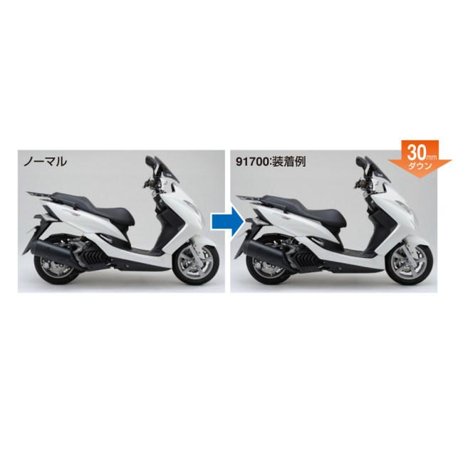 DAYTONA（デイトナ） ローダウンプレート カラー：ブラック