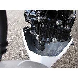 SOLID UP（ソリッドアップ） レーシングアンダーカウル GROM [グロム