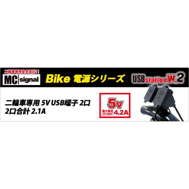 Newing NEWING ニューイング USBステーション2 【ダブル】 USB電源