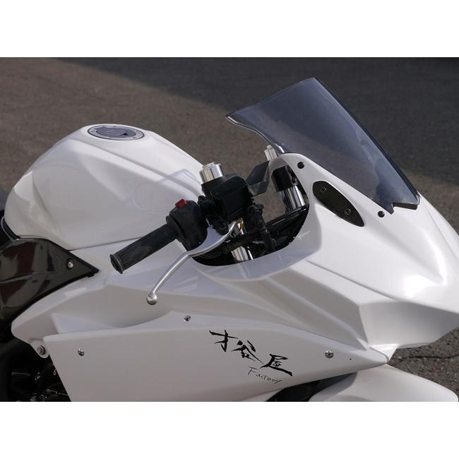 EIGHT(才谷屋) エイト(サイタニヤ) フルカウル＆シングルシートセット TYPE-2 YZF-R25 YZF-R3 YAMAHA ヤマハ フルカウル・外装セット カウル関連 外装_2