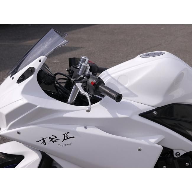 EIGHT(才谷屋) エイト(サイタニヤ) フルカウル＆シングルシートセット