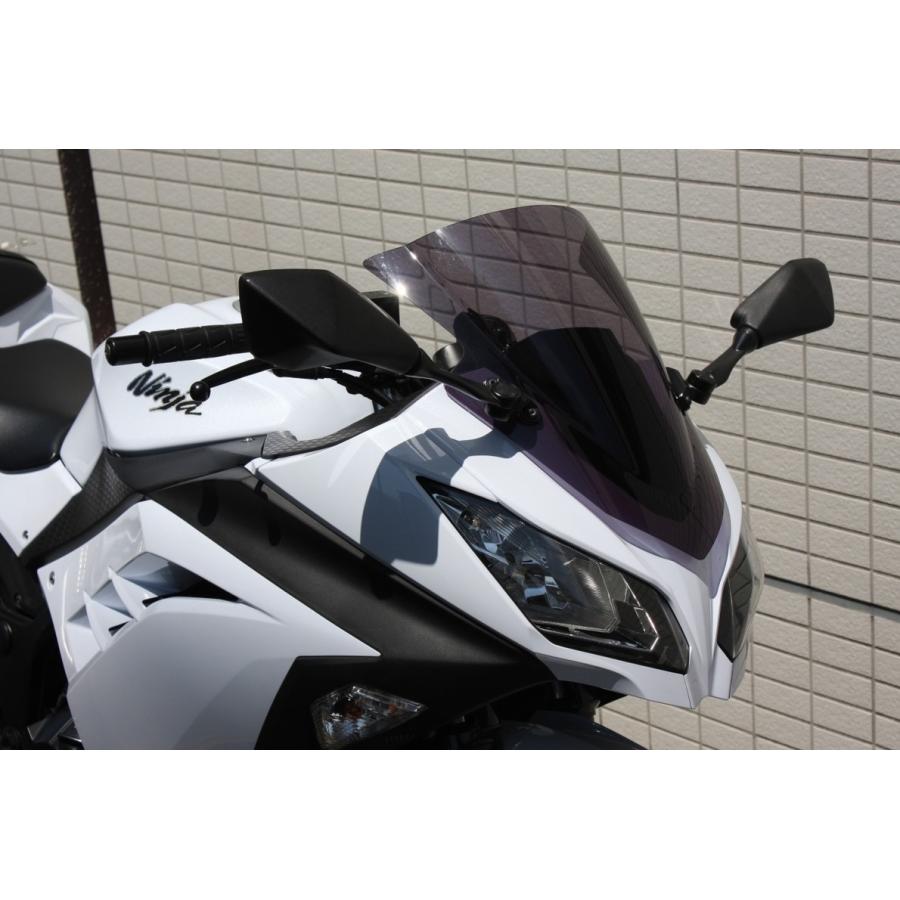 ACRY-Point アクリポイント ストリートタイプスクリーン ZX-14R