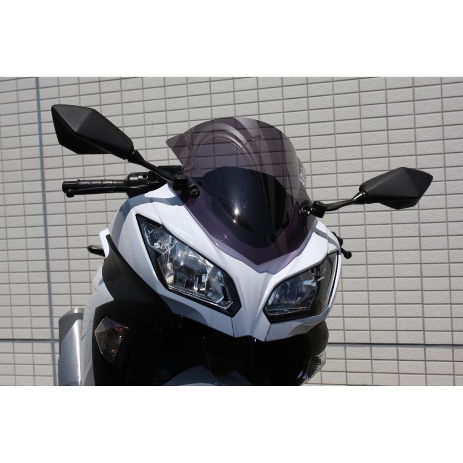 ぷらす ACRY-Point アクリポイント ストリートタイプスクリーン NINJA250