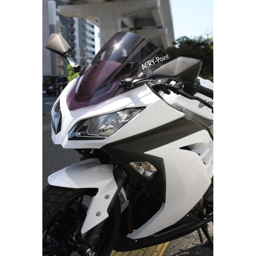 ぷらす ACRY-Point アクリポイント ストリートタイプスクリーン NINJA250